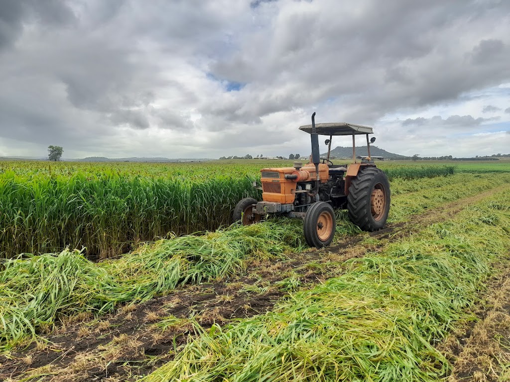 CK Agricultural | 11360 Warrego Hwy, Kingsthorpe QLD 4400, Australia | Phone: 0427 300 737