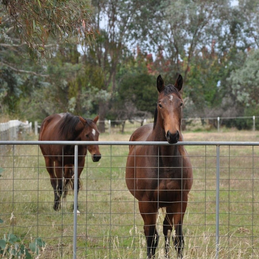 Gullifer Farm | 11 Gullifer Ln, Bonegilla VIC 3691, Australia | Phone: 0418 236 926