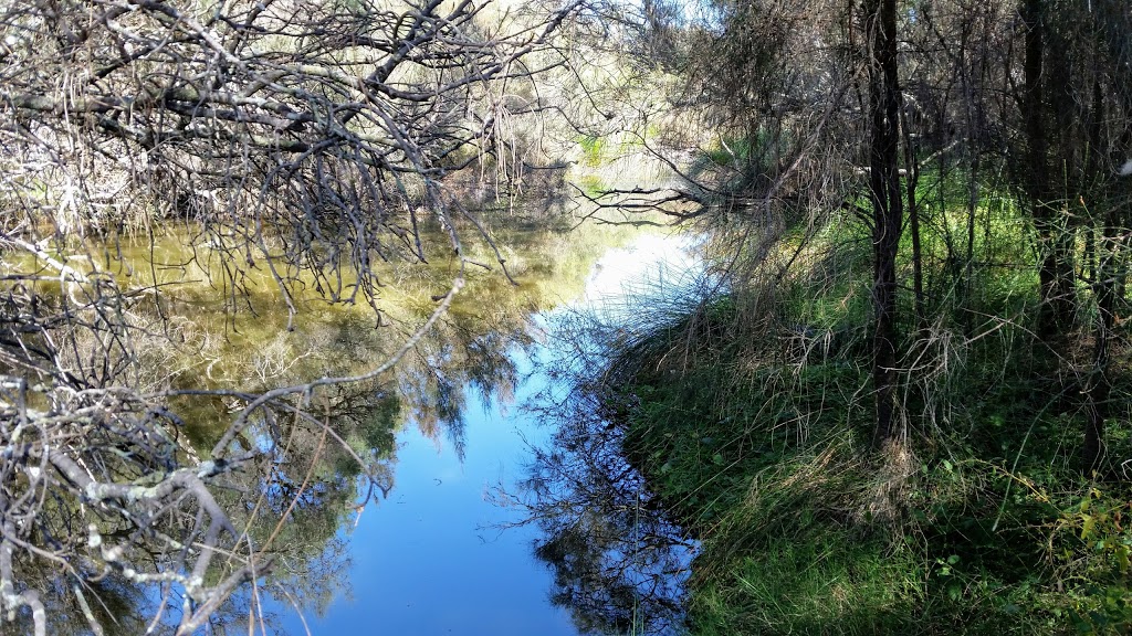 Leicester Reserve | park | 22 Charolais Mews, Eaton WA 6232, Australia