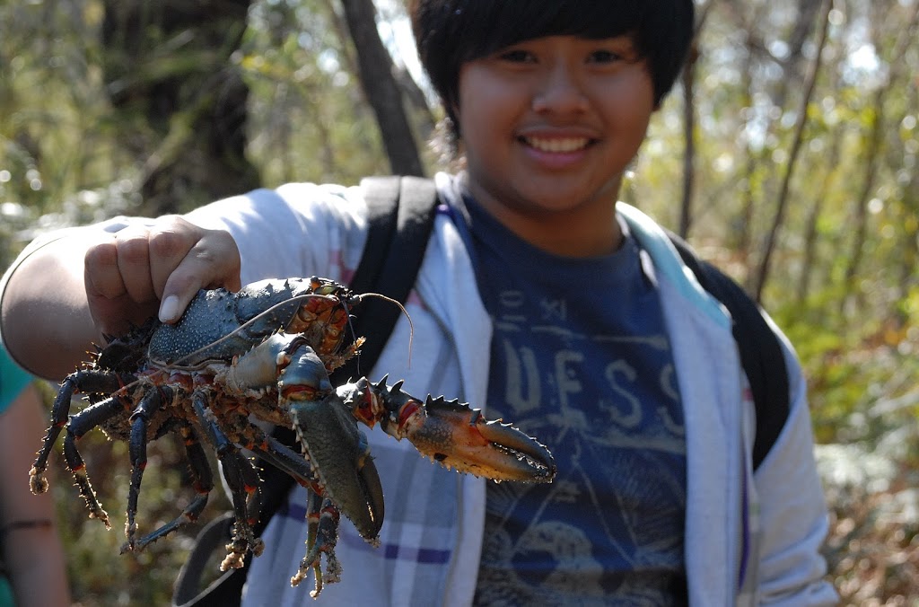 Auseco Field Studies in Environmental Education | 5/69 Kalang Rd, Elanora Heights NSW 2101, Australia | Phone: (02) 9970 6456