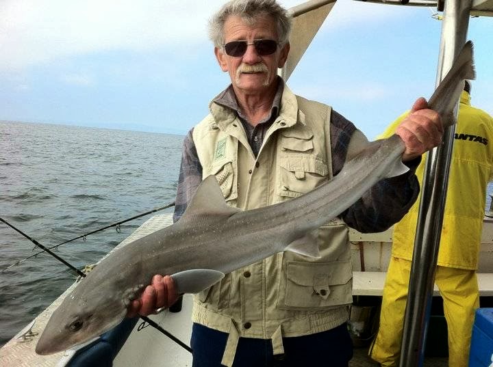 Queenscliff Fishing Charters and Scenic Tours Port Phillip Bay. | Queenscliff Harbour, Larkin Parade, Queenscliff VIC 3225, Australia | Phone: 0458 504 058