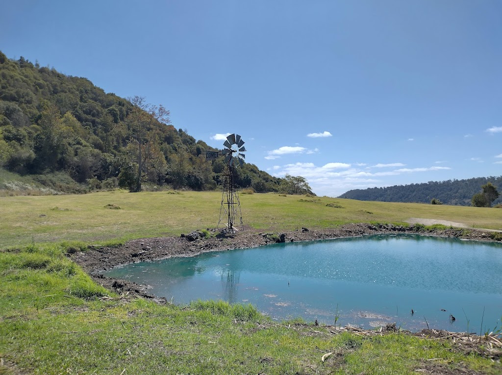 The Farm at Flying Fox Valley | Flying Fox Rd, Flying Fox QLD 4275, Australia | Phone: 0430 118 210