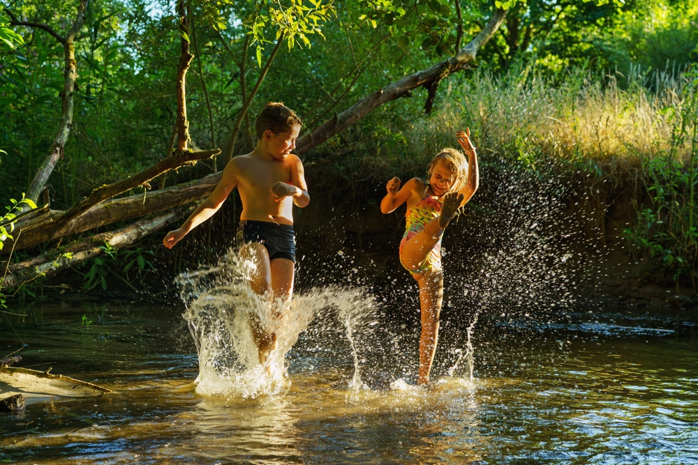 Lumeah by the Creek | 401 Terania Creek Rd, Terania Creek NSW 2480, Australia | Phone: 0414 753 314