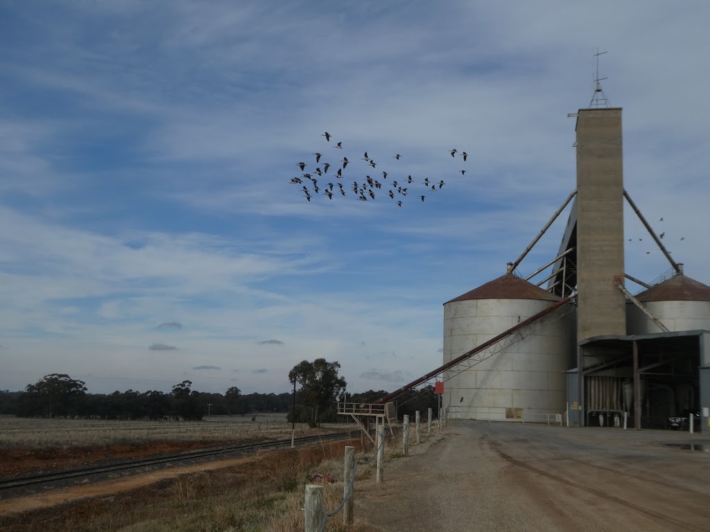 GrainCorp - Boort | food | Silo-Woolshed Rd, Boort VIC 3537, Australia | 0418729669 OR +61 418 729 669