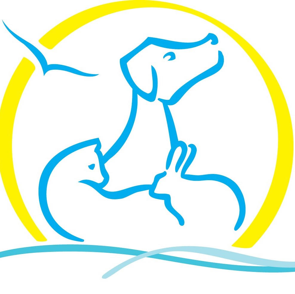 Mona Vale Vet Hospital - Puppy School | veterinary care | 22 Park St, Mona Vale NSW 2103, Australia | 0299992269 OR +61 2 9999 2269