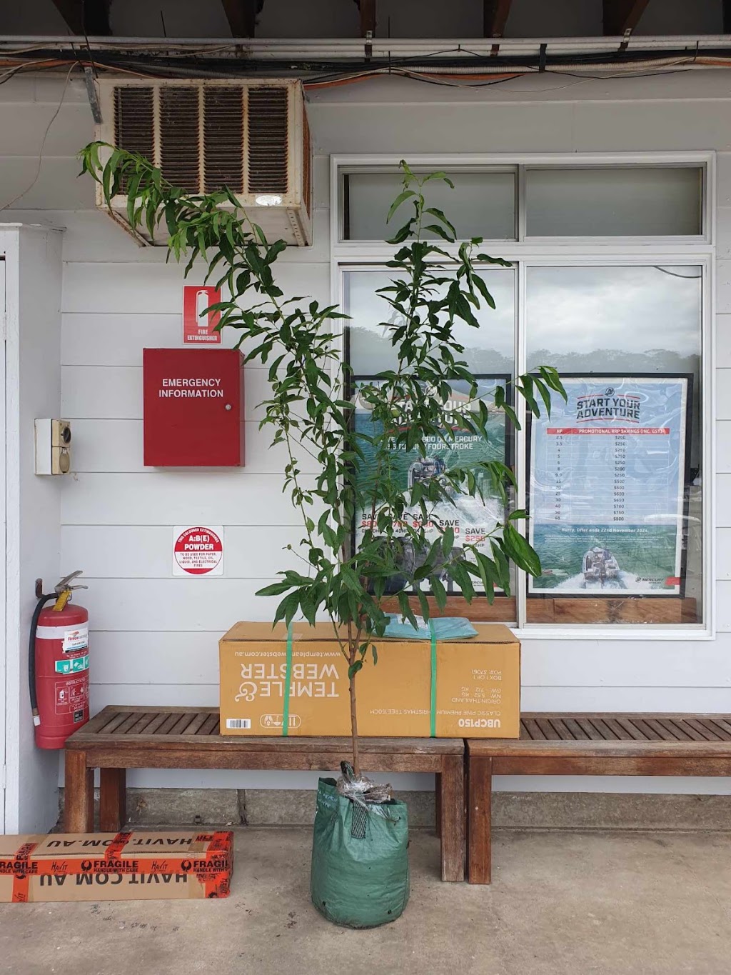 Nursery Warehouse | 24 Burns Rd, Ourimbah NSW 2258, Australia | Phone: (02) 4314 9018