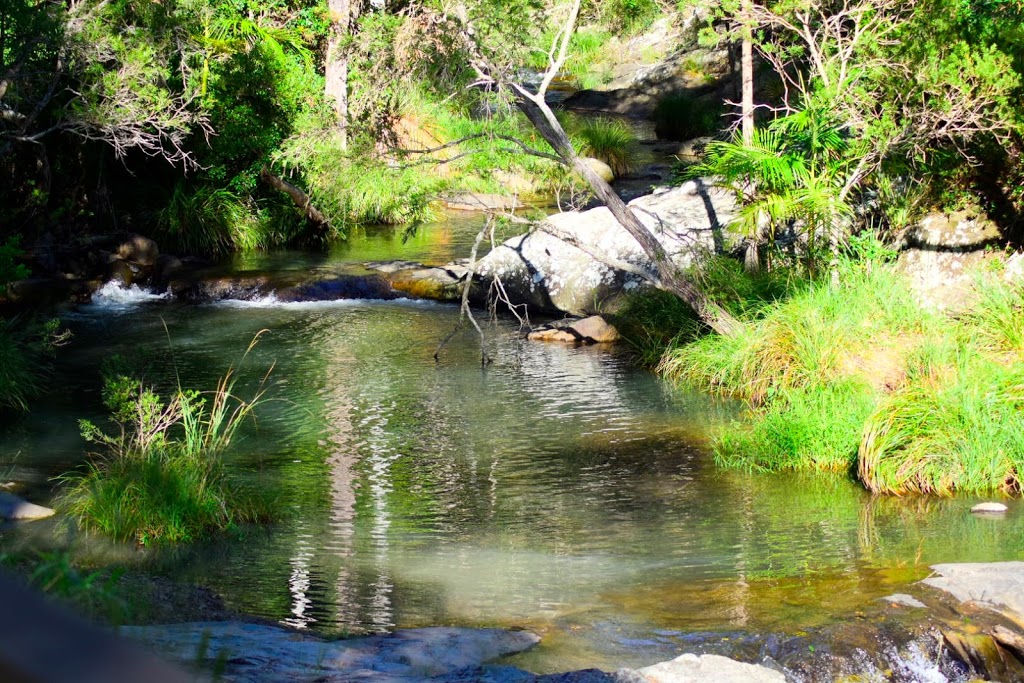 Cedar Creek Falls | park | Cedar Creek Falls Rd, Tamborine Mountain QLD 4272, Australia