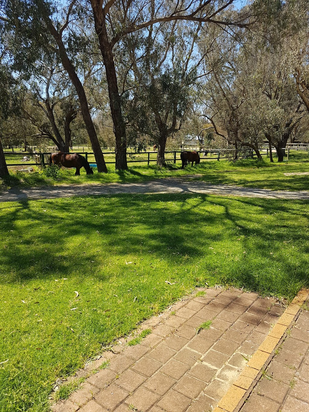 Rickety Ranch | 2 Phar lap drive Darling Downs, Byford WA 6122, Australia | Phone: 0417 177 482