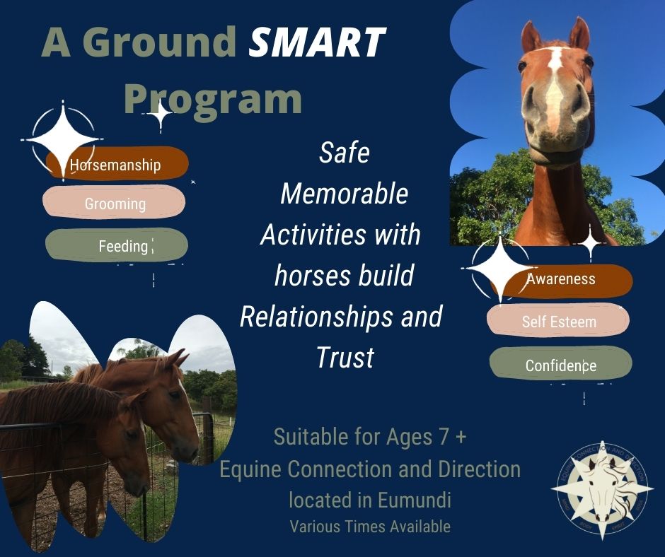 Equine Connection and Direction | Hatfield Rd, Eumundi QLD 4562, Australia | Phone: 0411 509 009