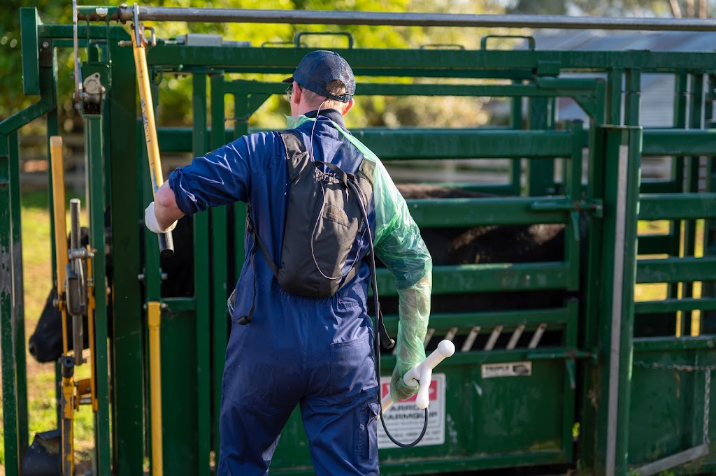 Prime Livestock Veterinary Services | 2 Parwanoff St, Mansfield VIC 3722, Australia | Phone: 0447 496 428