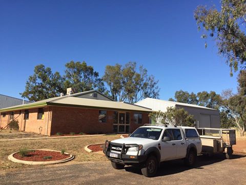 Narrogin Veterinary Services | veterinary care | 200 Earl St, Hillside WA 6312, Australia | 0898815417 OR +61 8 9881 5417