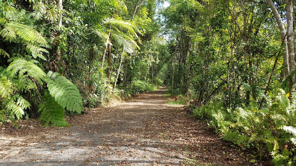 Mount Alexandra Lookout | Cape Tribulation Rd, Kimberley QLD 4873, Australia | Phone: 13 74 68