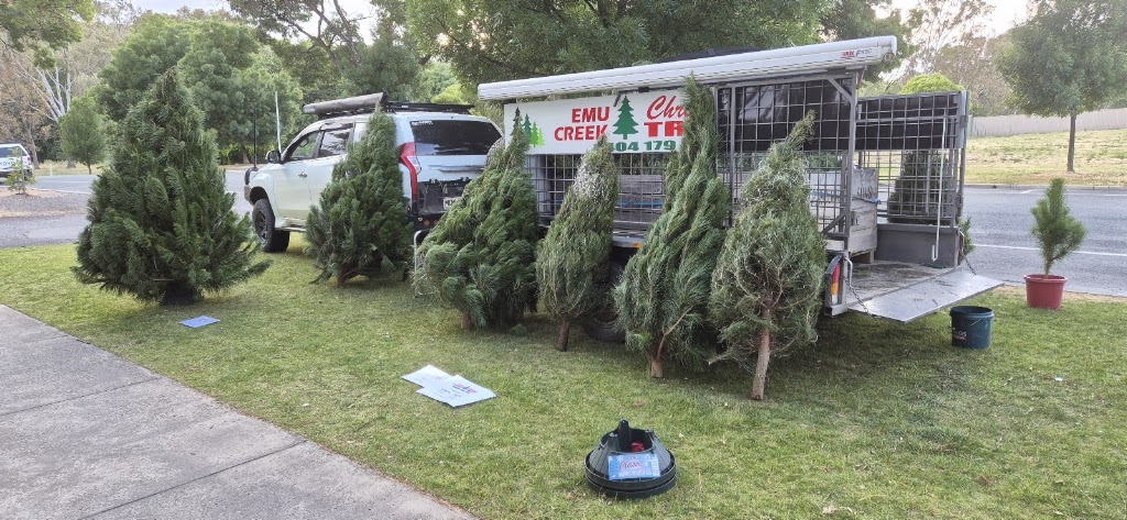 Emu Creek Christmas trees | 540 Mannes Ln, Emu Creek VIC 3551, Australia | Phone: 0404 179 266
