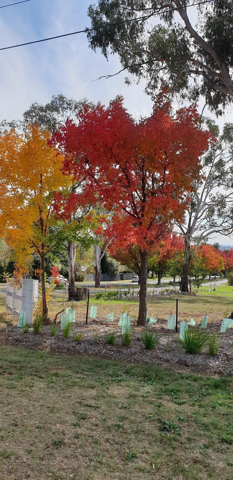 Armidale Cemetery | 1-29 Memorial Ave, Soudan Heights NSW 2350, Australia