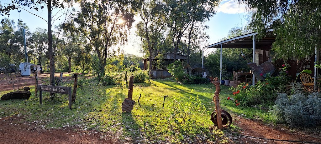 The Red Lizard Camping Ground | 30827 Mitchell Hwy, Charleville QLD 4470, Australia | Phone: 0428 928 867