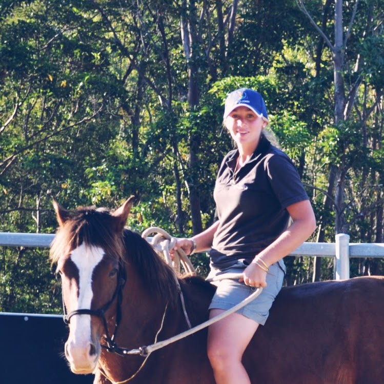 Chaydn Equestrian Park | 22 Garlinge Ct, Bonogin QLD 4213, Australia | Phone: 0404 609 252