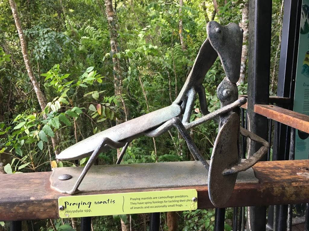 RAINFOREST CANOPY WALK & BARRON FALLS LOOKOUT | Barron Falls, Kuranda QLD 4881, Australia