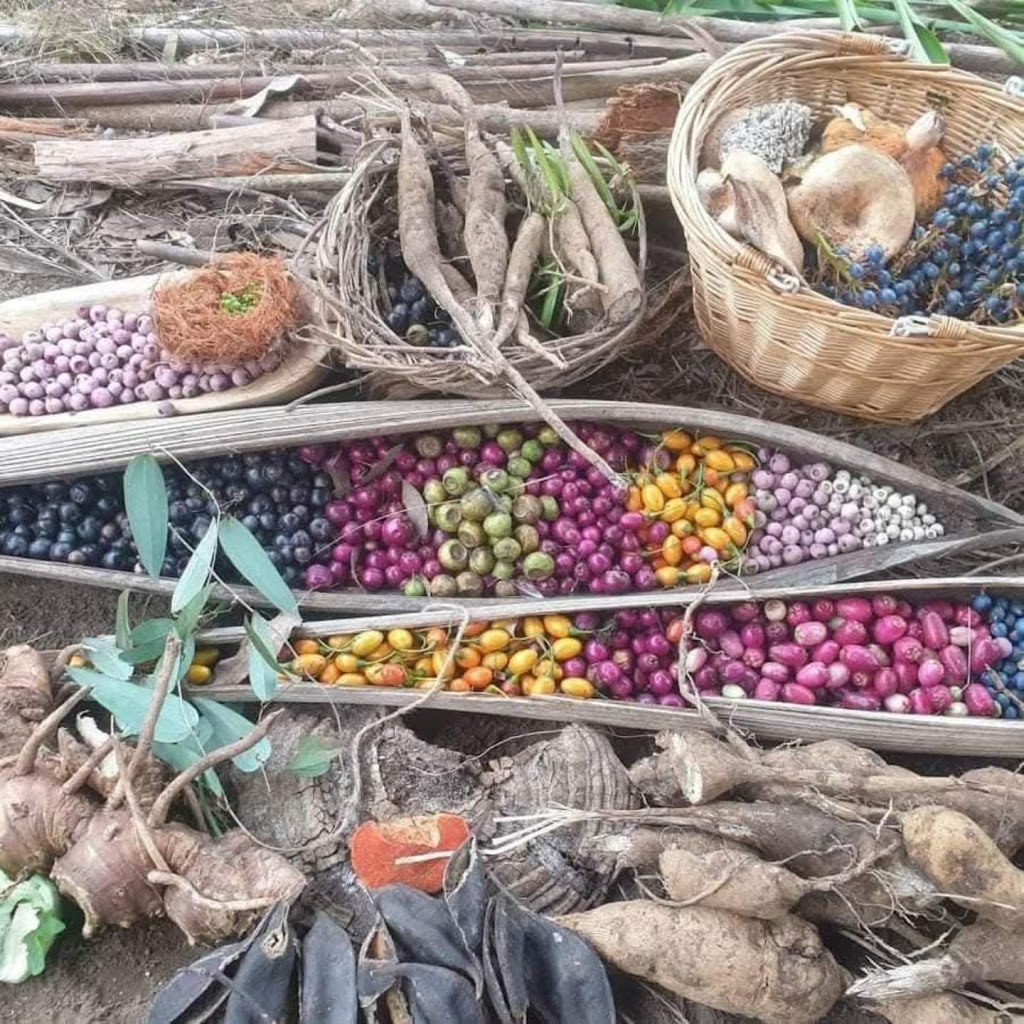 Jake Cassar Bushcraft | 1 Darkinjung Rd, Calga NSW 2250, Australia | Phone: 0405 424 124