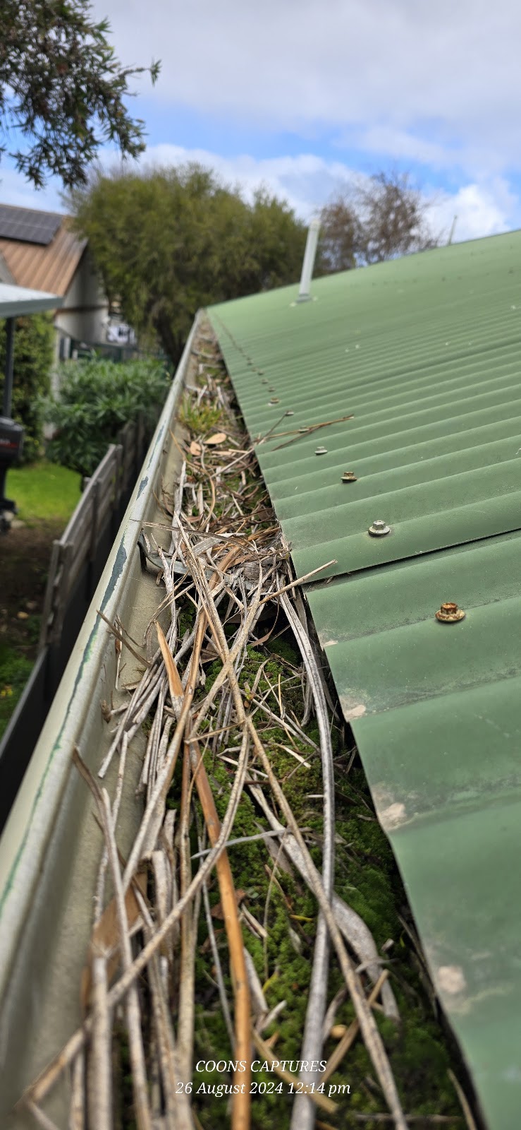 Jims Mowing & Garden Care | 1971 Jervois Rd, Jervois SA 5259, Australia | Phone: 0421 038 600