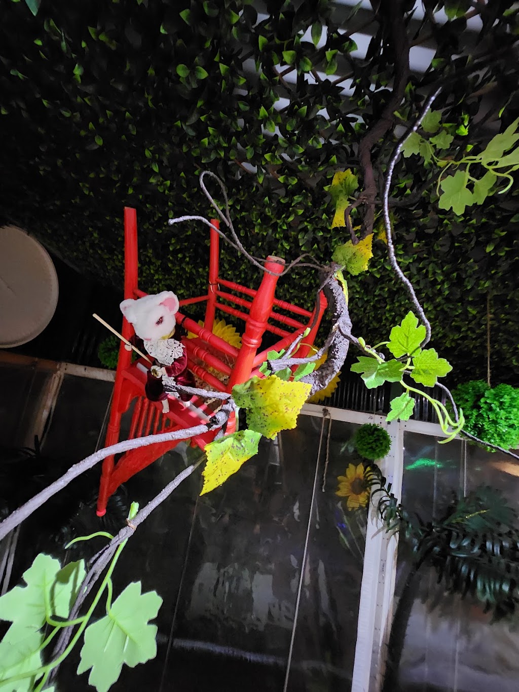 Twisted Wonderland Café | 5 Strouds Rd, Bonville NSW 2450, Australia | Phone: (02) 6653 4766