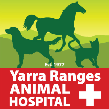 Yarra Glen - Yarra Ranges Animal Hospital | veterinary care | 28 Bell St, Yarra Glen VIC 3775, Australia | 0397301569 OR +61 3 9730 1569