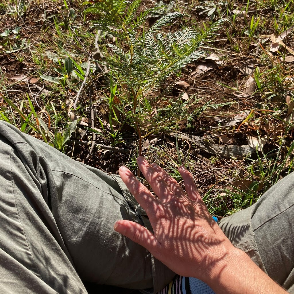 Jane Hope Spiritual Director and Retreat Guide | 215 Beenak E Rd, Gembrook VIC 3783, Australia | Phone: (03) 5968 1211