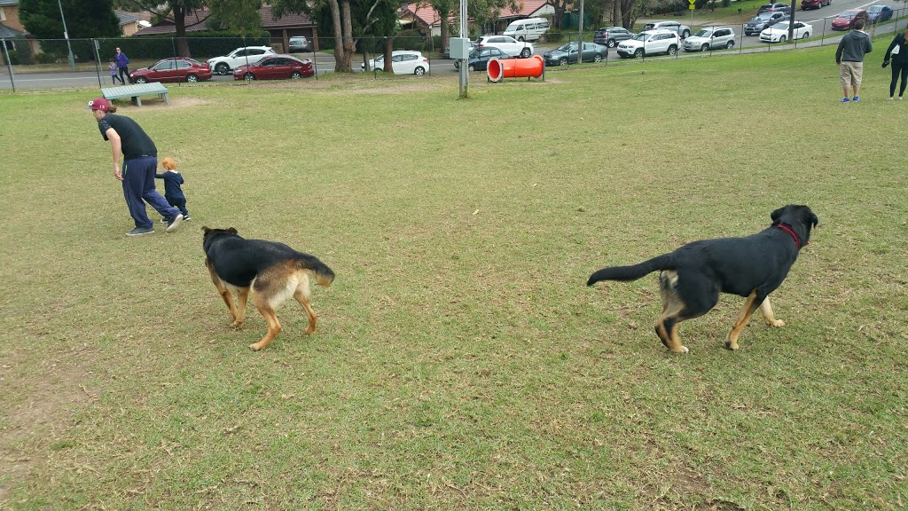Greenway Dog Park | park | 36 Shepherds Dr, Cherrybrook NSW 2126, Australia | 0298476666 OR +61 2 9847 6666