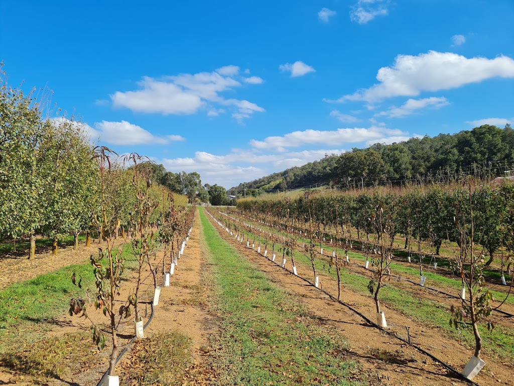 Raeburn Orchards | 4 Raeburn Rd, Roleystone WA 6111, Australia | Phone: (08) 9397 5325