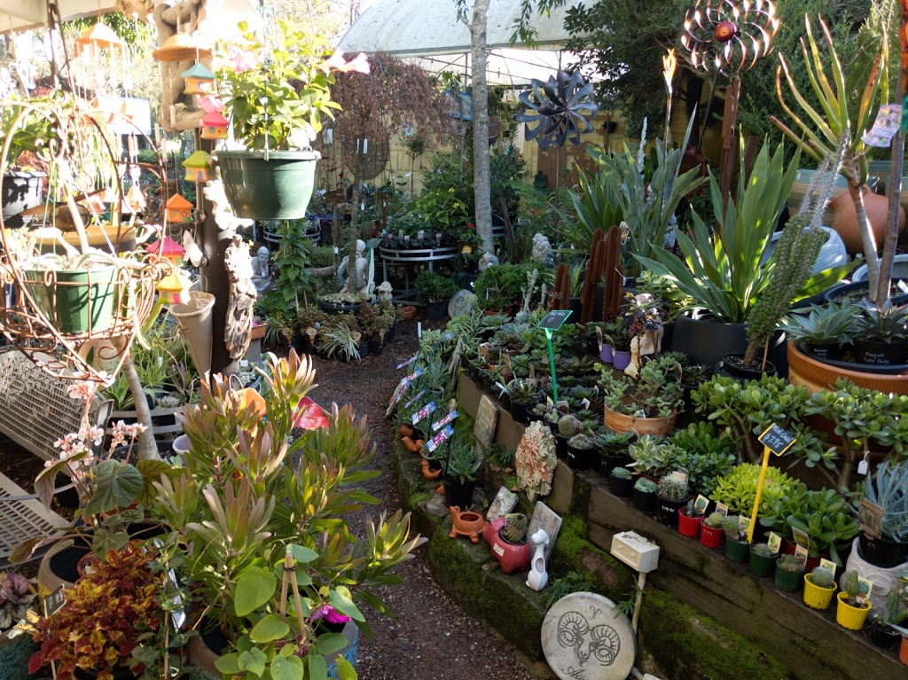 Mother Earth Nursery | 1A Annangrove Rd, Kenthurst NSW 2156, Australia | Phone: (02) 9654 1095