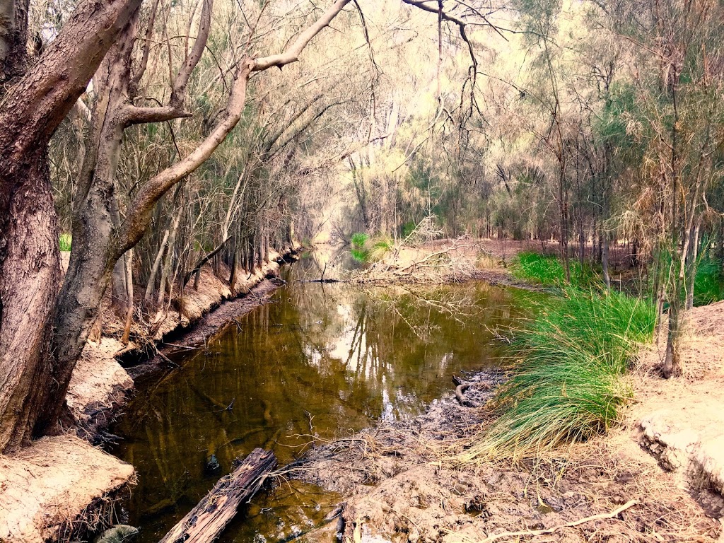 Ayres Bushland | park | Ascot WA 6104, Australia