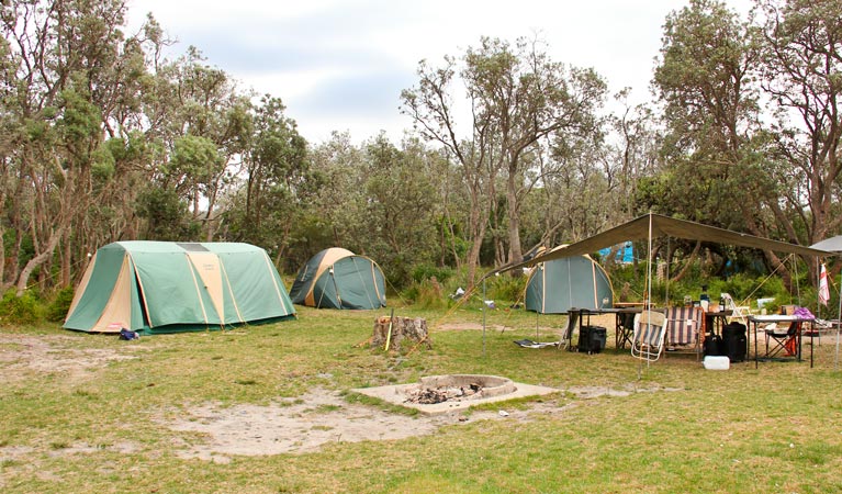 Picnic Point campground | campground | Unnamed Road, Wapengo NSW 2550, Australia | 0244760800 OR +61 2 4476 0800