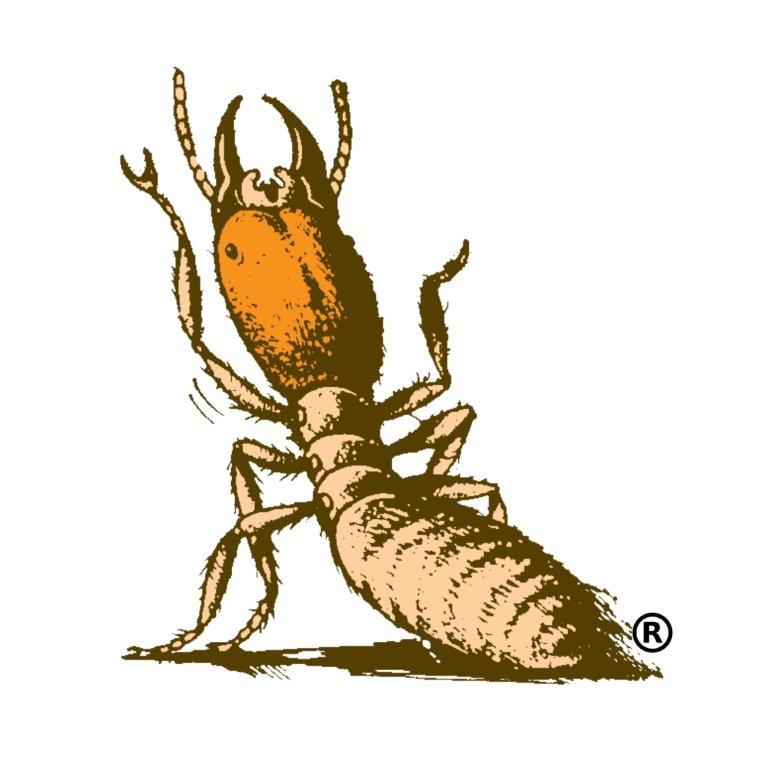 FUMAPEST TERMITE AND PEST CONTROL | 291 Melbourne Rd, Blairgowrie VIC 3942, Australia | Phone: 0488 280 505