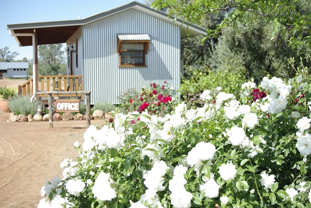 Warrego Riverside Tourist Park | 322 Weir Rd, Cunnamulla QLD 4490, Australia | Phone: (07) 4655 0097