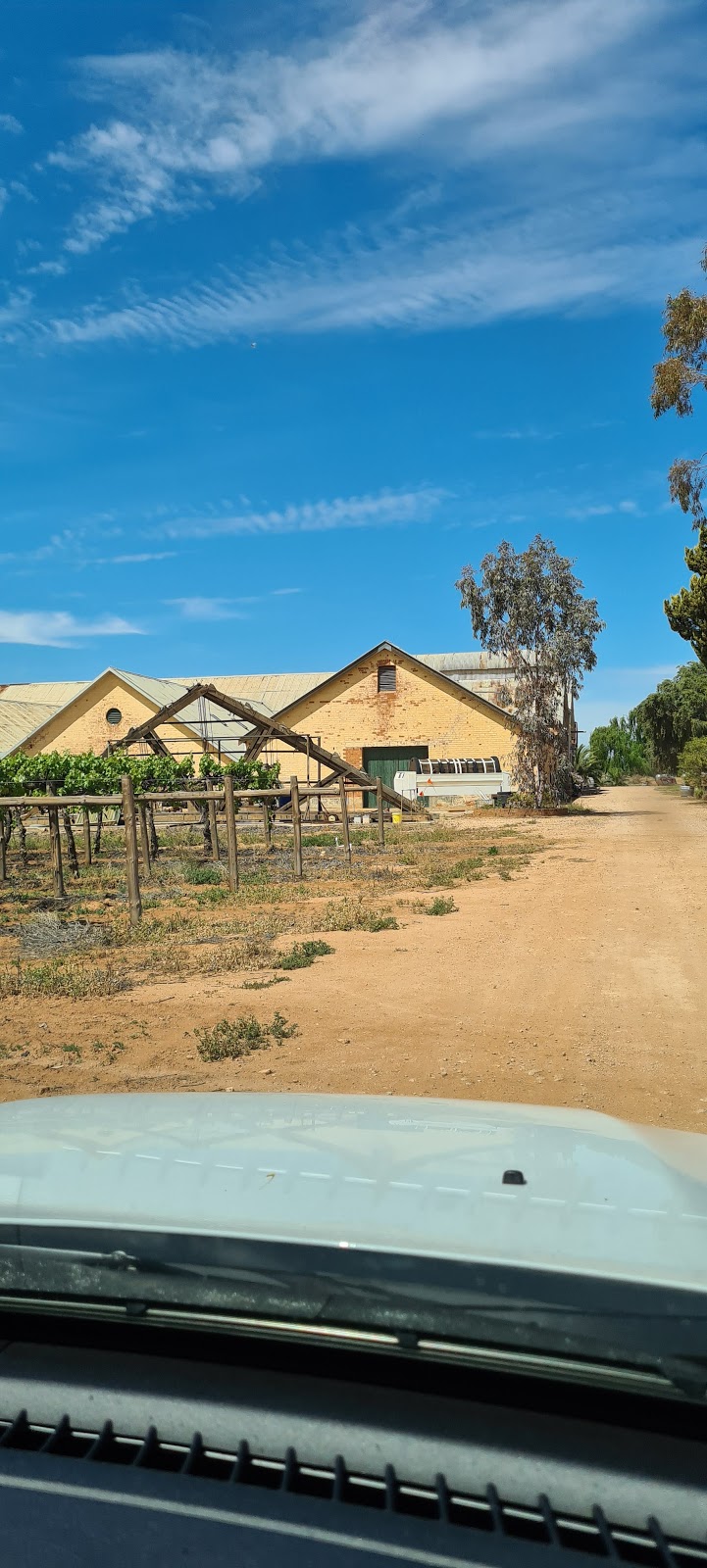 Chateau Mildura Winery | food | 191 Belar Ave, Irymple VIC 3498, Australia | 0350245901 OR +61 3 5024 5901