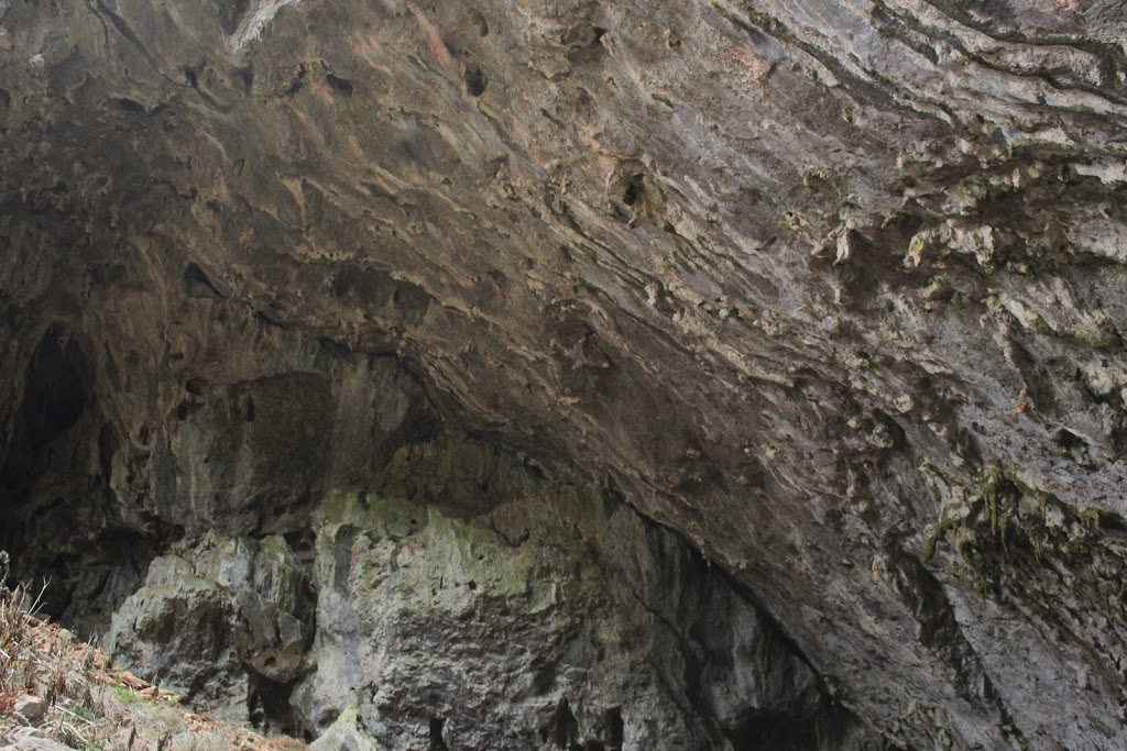 Jillabenan Cave | tourist attraction | Jillaben Cave Walking Track, Yarrangobilly NSW 2720, Australia | 0264549597 OR +61 2 6454 9597