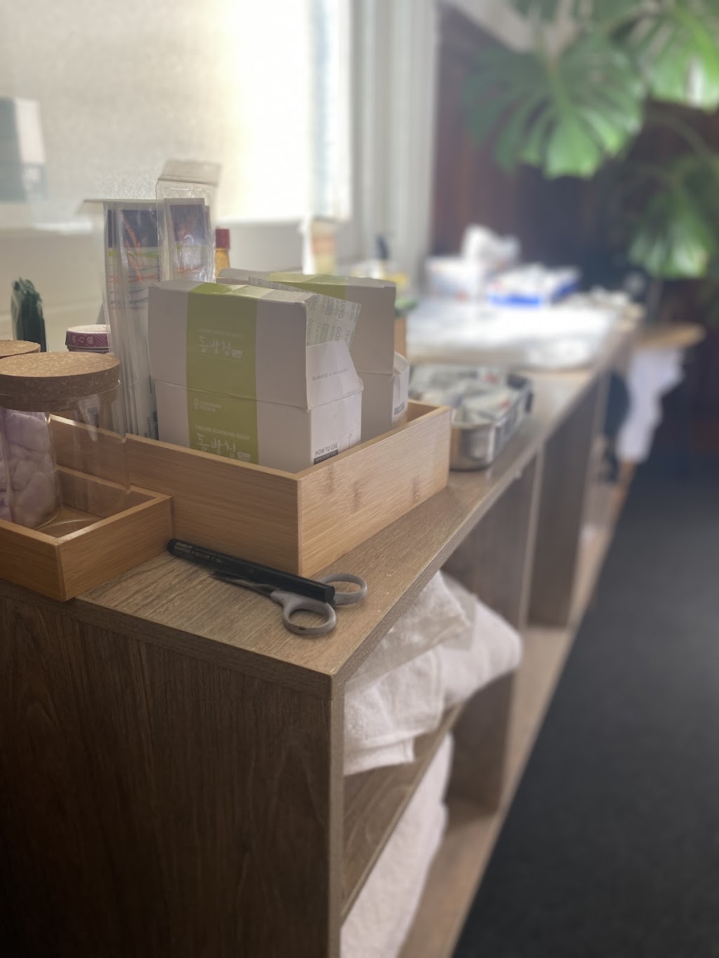 Purple Cloud Chinese Medicine | 7 Beach Rd, Sandy Bay TAS 7015, Australia | Phone: 0428 880 332