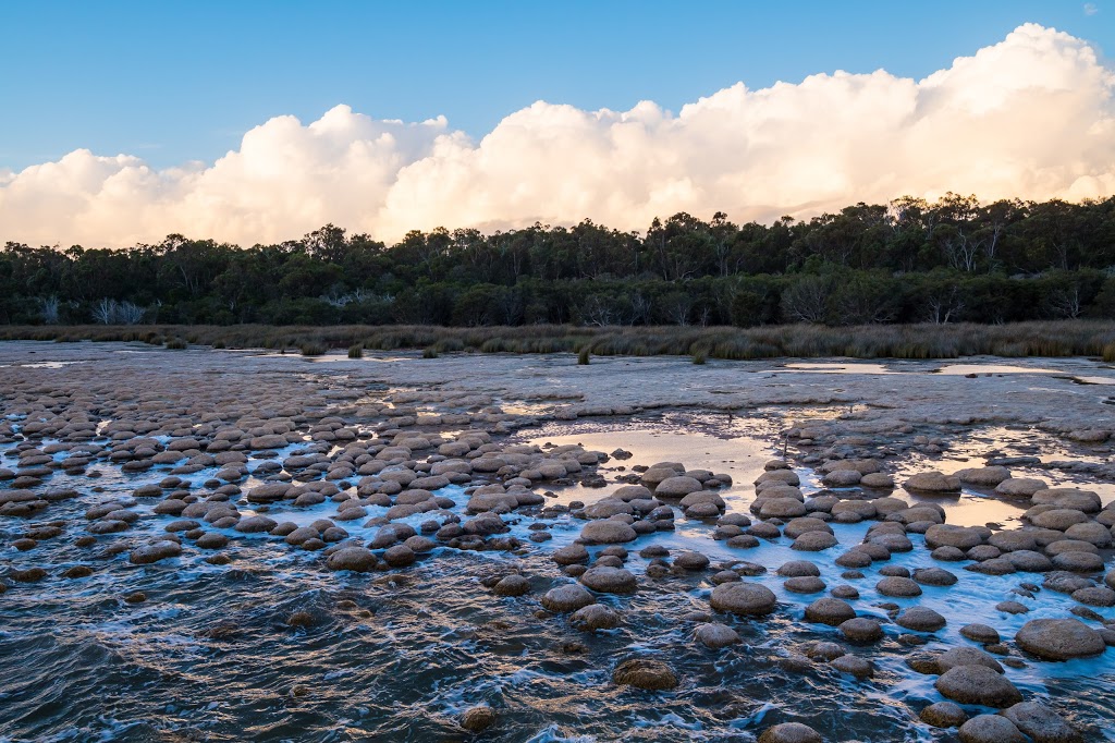 Yalgorup National Park | Preston Beach Rd, Preston Beach WA 6215, Australia | Phone: (08) 9303 7750