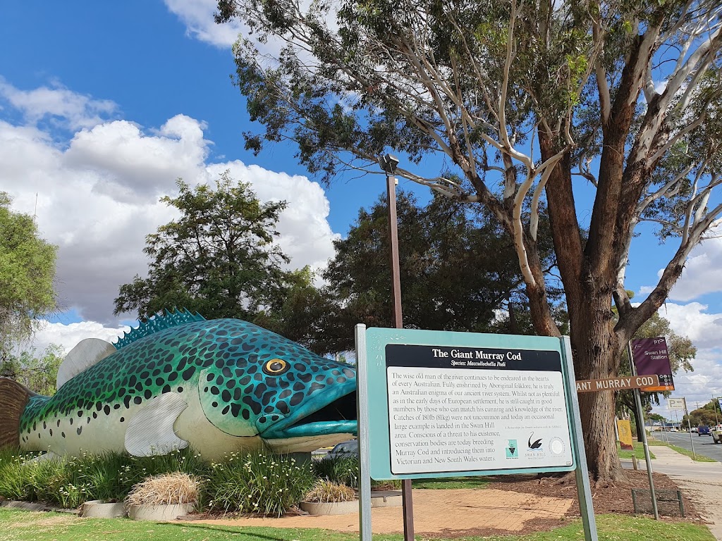 Swan Hill Region Information Centre | 125 Monash Dr, Swan Hill VIC 3585, Australia | Phone: (03) 5032 3033