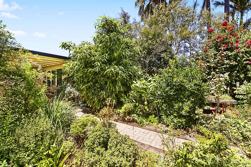 Bamboo House | 155 Stanley St, Kanwal NSW 2259, Australia | Phone: (02) 4392 9030