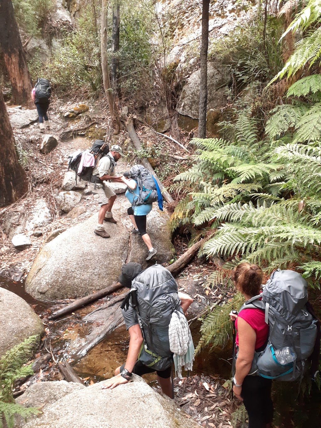 Holistic Hikes | Jones Rd, Somerville VIC 3912, Australia | Phone: 0416 583 075