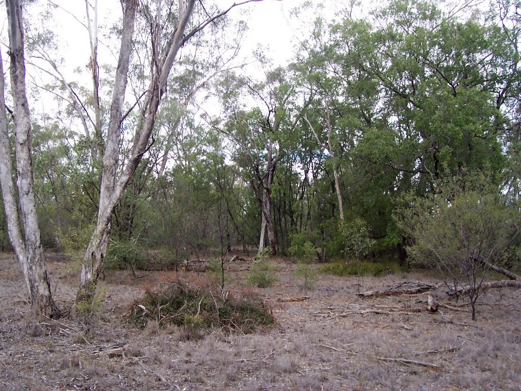 Gamilaroi | park | Berrigal NSW 2390, Australia