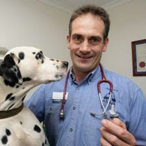 Palmwoods Veterinary Clinic-Dr Brett Stone | veterinary care | 4 Briggs St, Palmwoods QLD 4555, Australia | 0754459500 OR +61 7 5445 9500