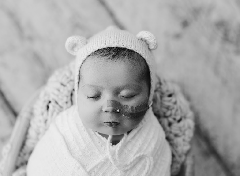 Sleepy Willow Photography |  | 10 Lester Ave, Ringwood East VIC 3135, Australia | 0439565172 OR +61 439 565 172
