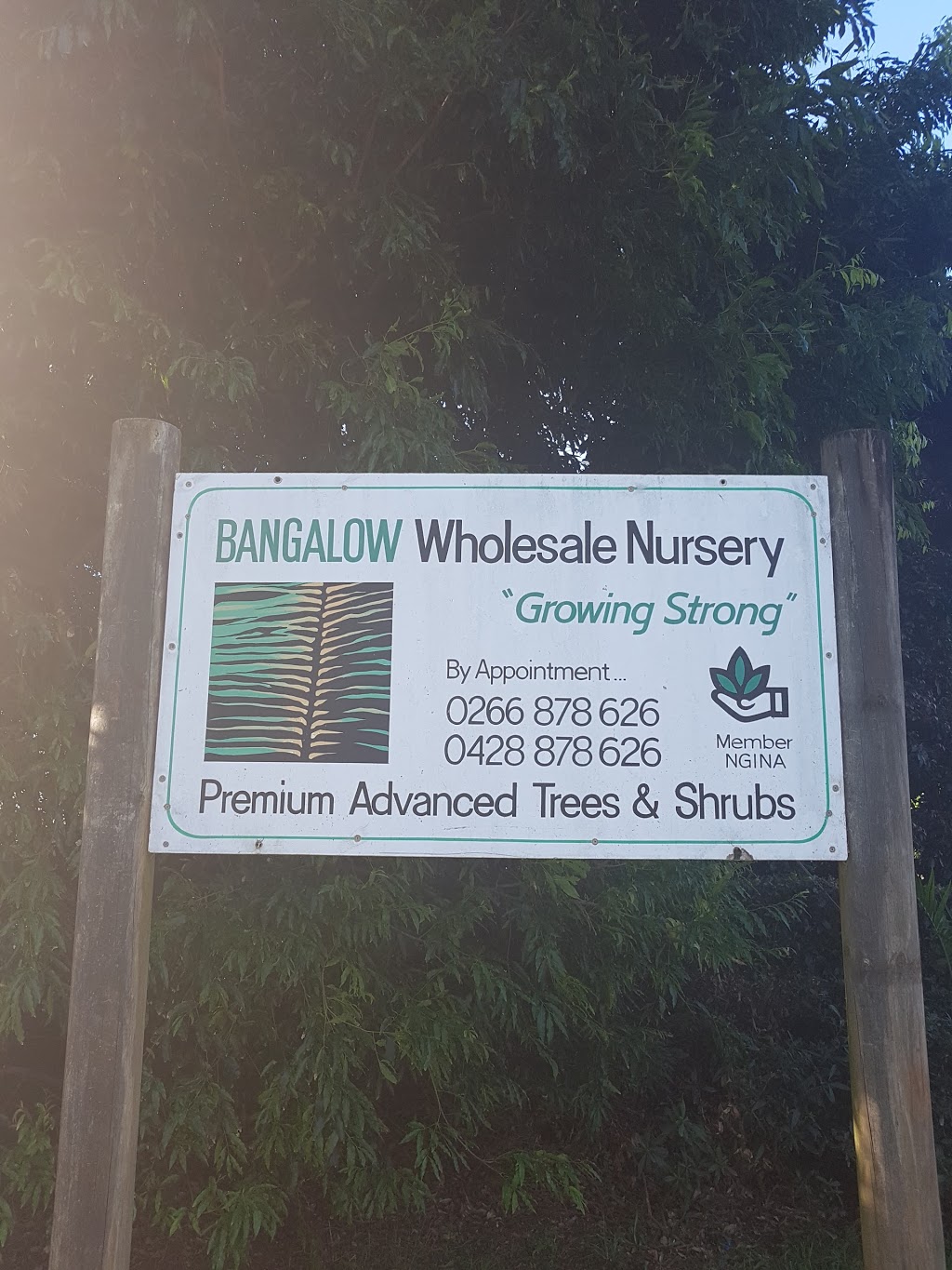 Bangalow Wholesale Nursery |  | 44 Rishworths Ln, Brooklet NSW 2479, Australia | 0428878626 OR +61 428 878 626