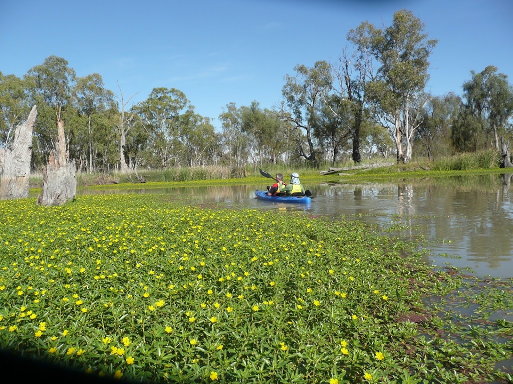 Loch Luna Game Reserve | park | Overland Corner SA 5330, Australia