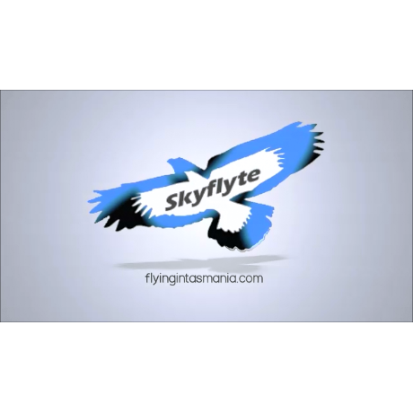 SkyFlyte Flying School | university | 13 Airport Rd, Wesley Vale TAS 7307, Australia | 0427113207 OR +61 427 113 207