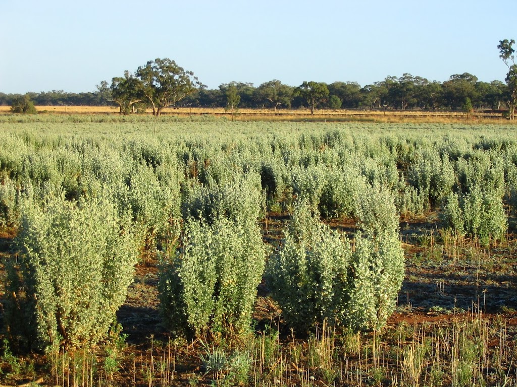 Grazing Management Systems PTY Ltd. | 690 Dandaloo St, Narromine NSW 2821, Australia | Phone: (02) 6889 4300