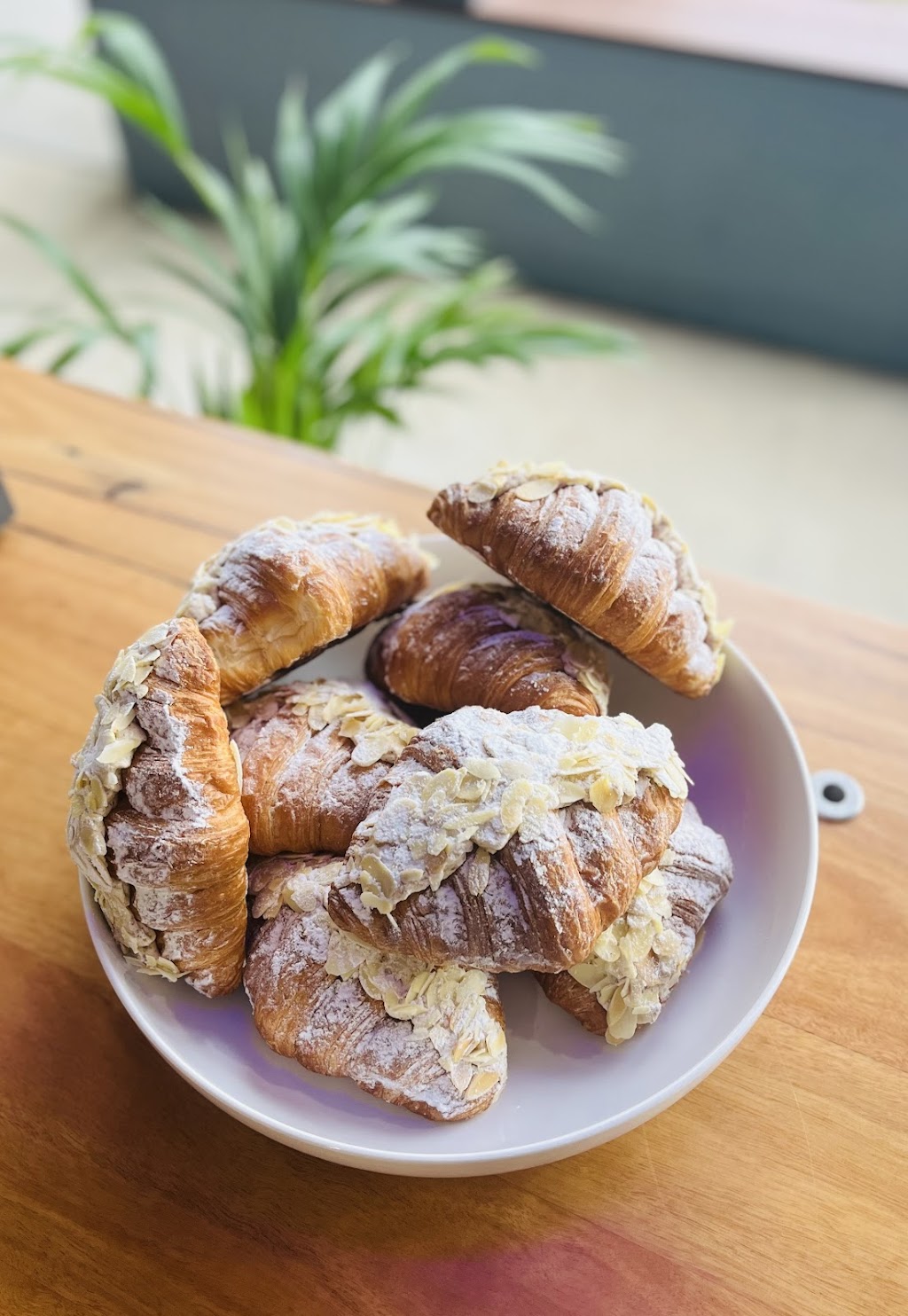 Spark Espresso Bar | 106 Sirius Dr, Lakewood NSW 2433, Australia | Phone: (02) 5572 9352