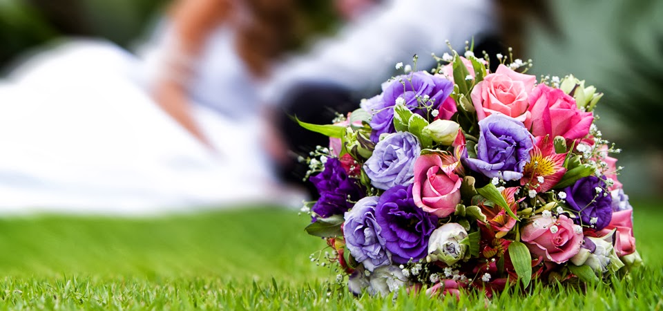 Marriage Celebrant | Suite 3, Level 1/534-536 Princes Hwy, Rockdale NSW 2216, Australia | Phone: (02) 9567 8688