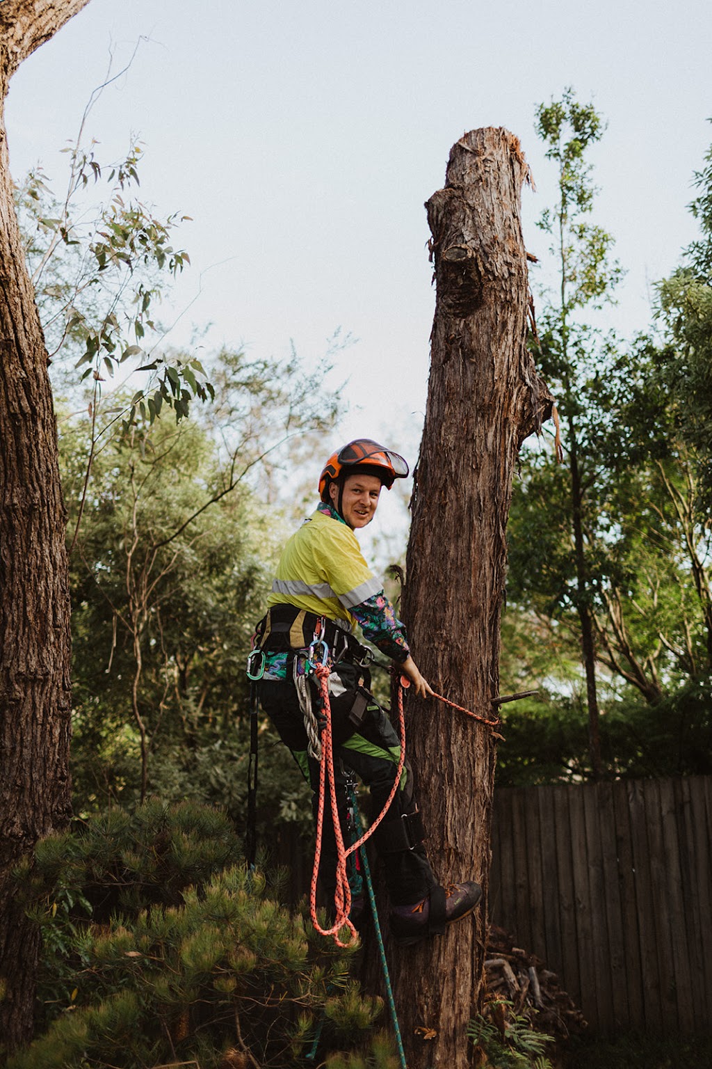 Harmony Tree Care | 143 Tableland Rd, Wentworth Falls NSW 2782, Australia | Phone: (02) 4711 0027